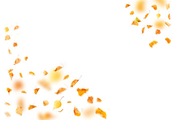 autumn leaves blowing in the wind png overly on white background