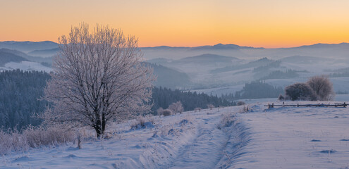 Extremely frosty mountain landscape at sunrise.Pieniny mountain,Poland