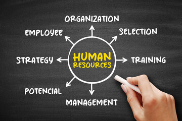 Human resources - people who make up the workforce of an organization, mind map concept for...