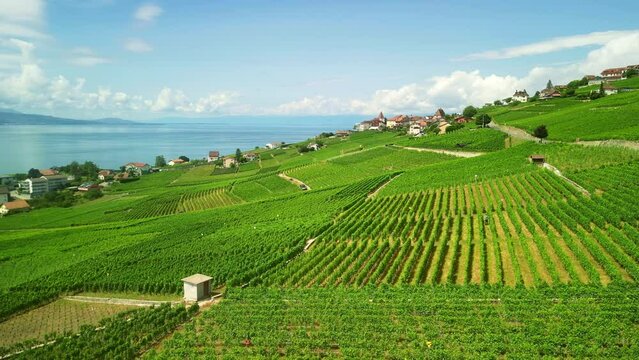 Drone Switzerland 4k. Lavaux wine region, Terrace vineyards located in Vaud from Lausanne to Vevey-Montreux. Popular wine tour destination in summer. 