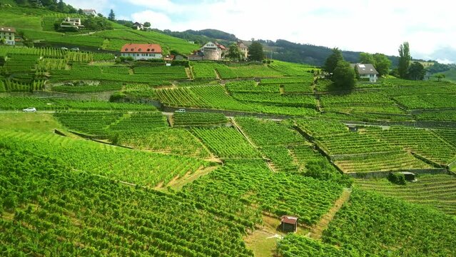 Drone Switzerland 4k. Lavaux wine region, Terrace vineyards located in Vaud from Lausanne to Vevey-Montreux. Popular wine tour destination in summer. 