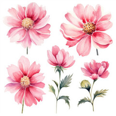 Obraz premium A Collection of Pink Flowers on a Clean White Background