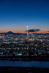 Cityscape of greater Tokyo area with Mount Fuji and Tokyo skytree at magic hour (Vertical)
