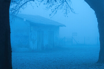 Old abandoned shed in fog