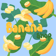 Flat illustration of bananas and leaves. Logo illustration for a banana shop.