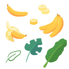 A flat illustration set showcasing various bananas, a slice of banana, a peeled banana, and banana leave
