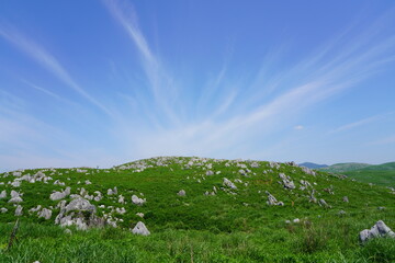 山口県秋吉台　Akiyoshidai