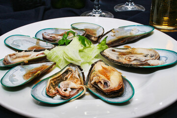 Fresh oysters