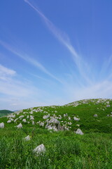 山口県秋吉台　Akiyoshidai