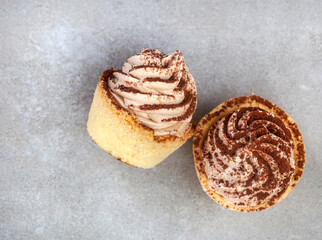 Two mini tiramisu tartlets on mottled grey, sprinkled with cocoa. selective focus. Copy space