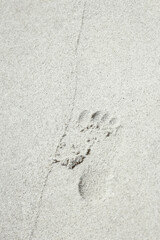 A Beautiful sea and sand on the shore vacation travel background