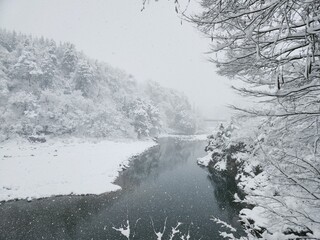 winter snow forest river
