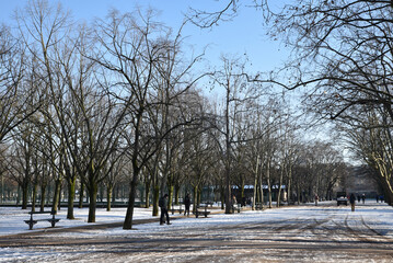 Grande allée centrale gelée au jardin du Luxembourg en hiver à Paris. France
