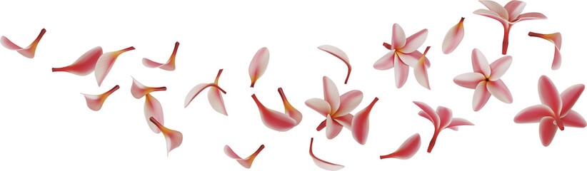 falling pink plumeria flower