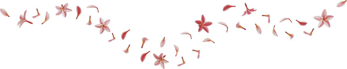 falling pink frangipani flower