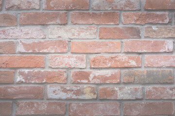The background of the wall is an old red brick with a worn texture.