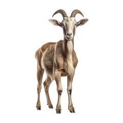 Naklejka na ściany i meble Goat with horn on transparent background PNG Generative AI