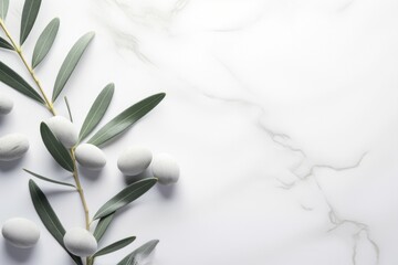 Leaves of an olive tree with white stones on a white solid background with copy space for text. Serene botanical background concept for wellness, spa, and meditation.
