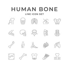 Set line icons of human bones