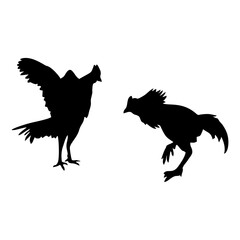 silhouette of black cocks fighting