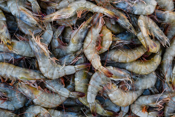 Raw shrimps for sale at the street market