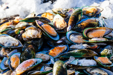 Halved oysters for sale at the fish market