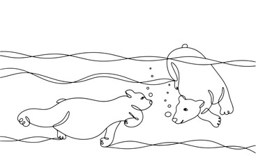 Polar bear. Bear. Pair. Swim