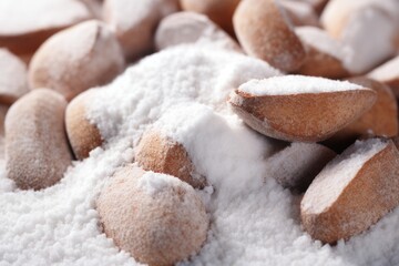 Fototapeta na wymiar Closeup of sugarcoated raw Brazil nuts.