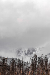 Vertical of Estes Park with snowy mountains on a cloudy day