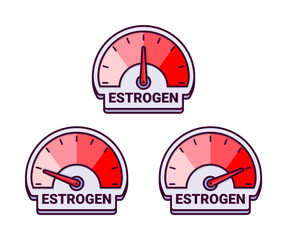 Estrogen Hormone Level Meters Vector Illustration with Color Gradient for Women s Health Monitoring