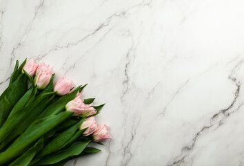 Top view of pink tulips on white marble background. Spring flowers flat lay, copy space.
