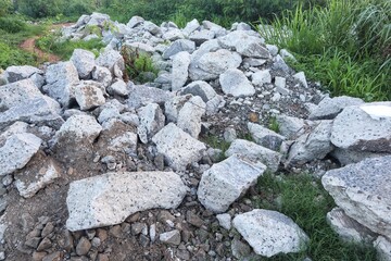 A pile of building rubble on the edge of the forest.