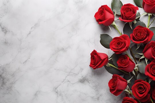 red roses on a gray background and space for text