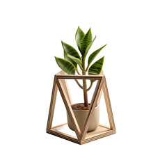 Minimalist Wooden Plant Holder on a transparent background