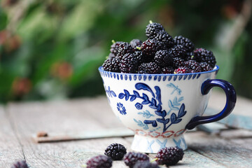 mulberry in a cup