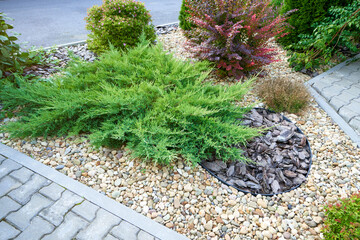 Shaped flowerbed with bushes and pebbles along the path