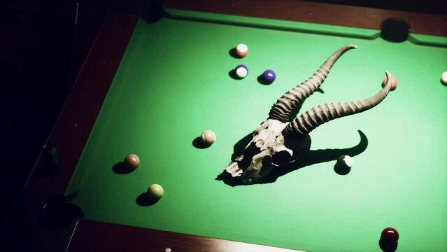 Gazelle Skull on Billiard Table