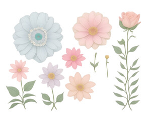 Set of pastel flowers isolated on white,flower clipart collection