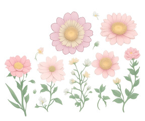 Set of pastel flowers isolated on white,flower clipart collection
