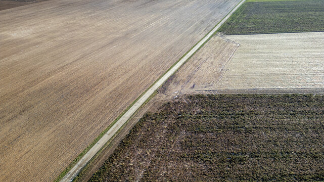 This aerial image displays a captivating patchwork of farmland, with each plot showcasing different stages of cultivation. On the left, we see a freshly tilled field, ready for planting, its fine soil