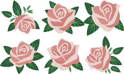 set of pink and green leaves