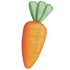 Cute carrot cartoon