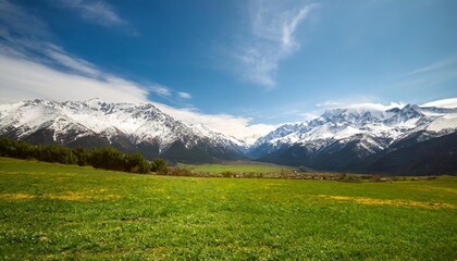 landscape featuring a green meadow and snowy mountains