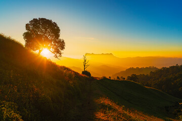 Mountain, field, and forest bathed in the warm hues of a tranquil sunset, surrounded by nature's...