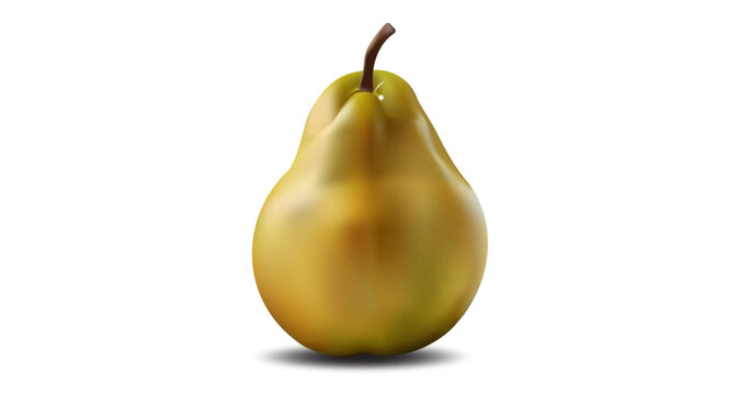 pear on white background vector