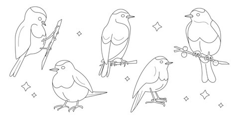 Set of five birds drawn with a contour for coloring. Set for children's creativity. Silhouettes of small birds in different positions. Sparrows, bluebirds and other small birds