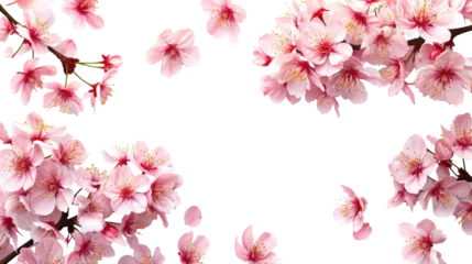 Rolgordijnen Dreamy cherry blossoms as a natural border, isolated on transparent background © YauheniyaA