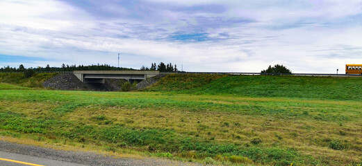 green grass field near highway