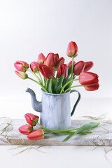 Bouquet of red tulip flowers in a vase on a white background, floral still life, spring