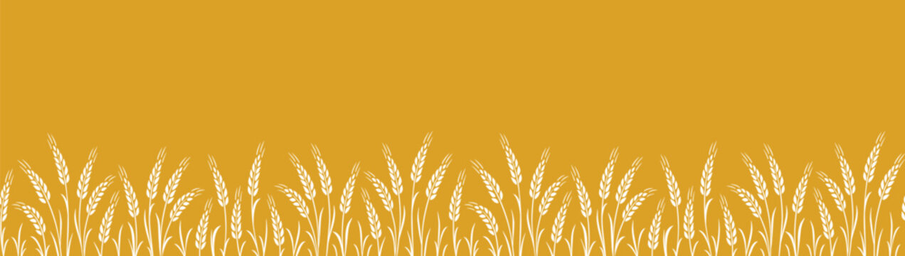 Seamless food pattern with wheat, oat, barley, rye, wheat ears stalks, field on yellow background and place for text